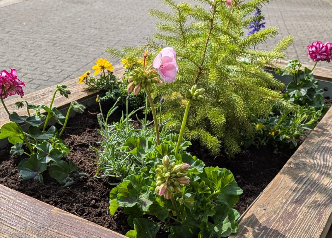 Blumenschmuck_2026