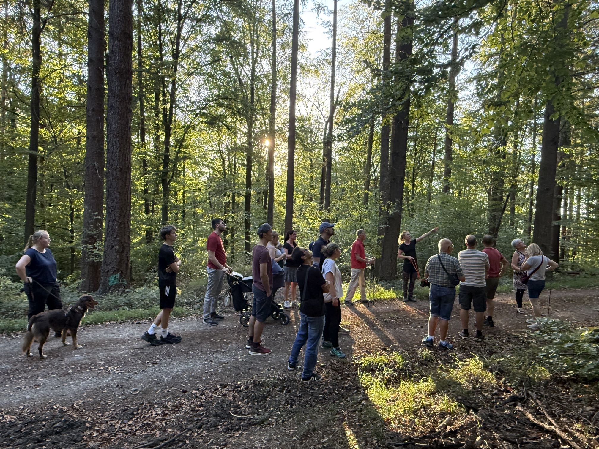 Waldtiere